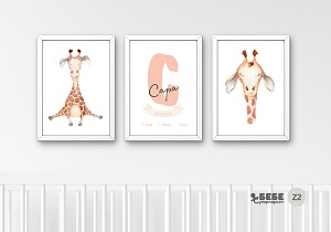Set of Three Nursery Prints in frames Z2